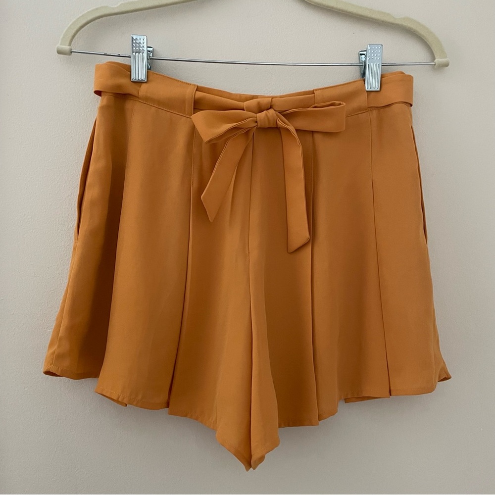 Aritzia Sunday Best Westley Short